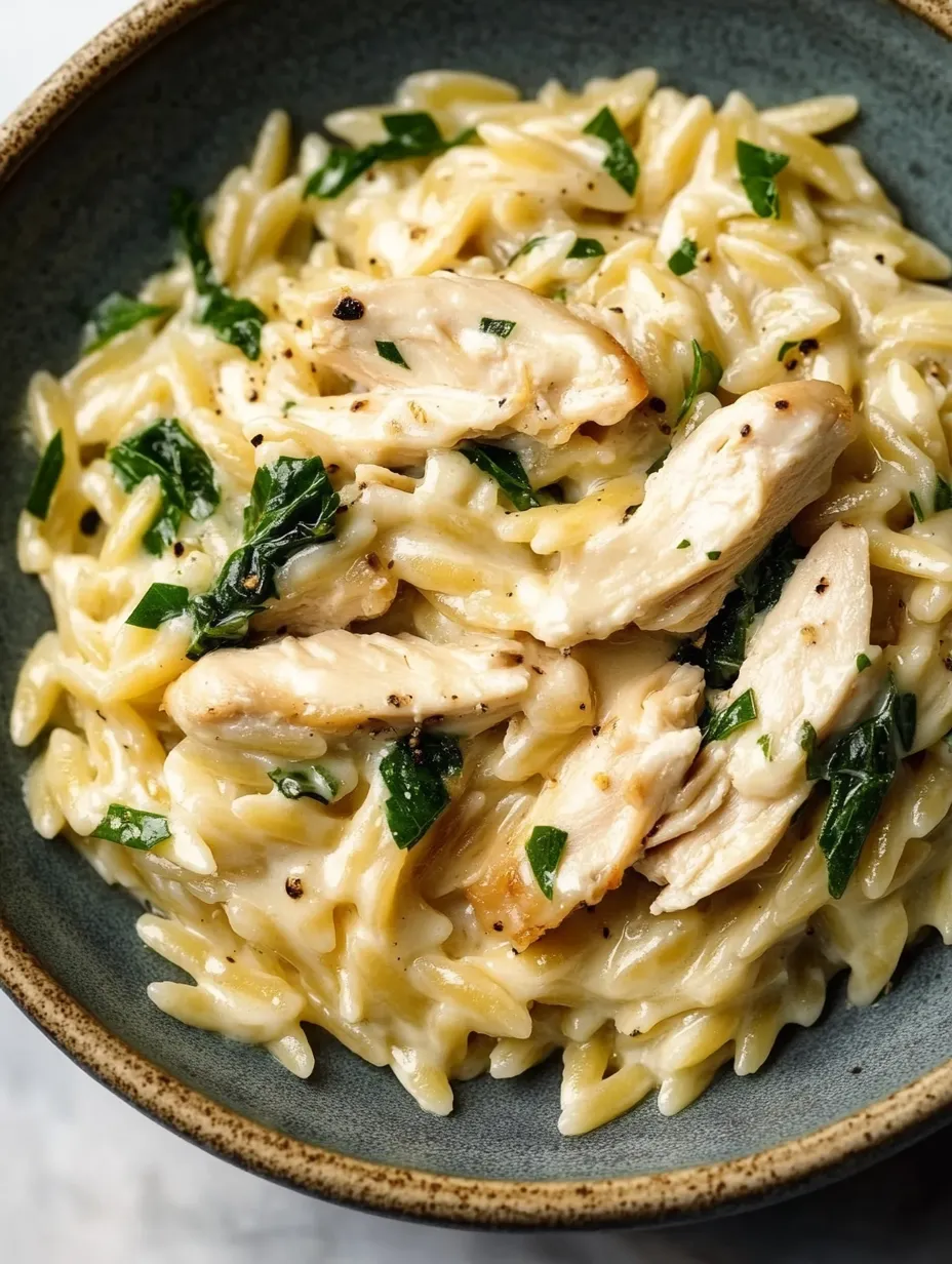 Boursin Orzo with Chicken Savory