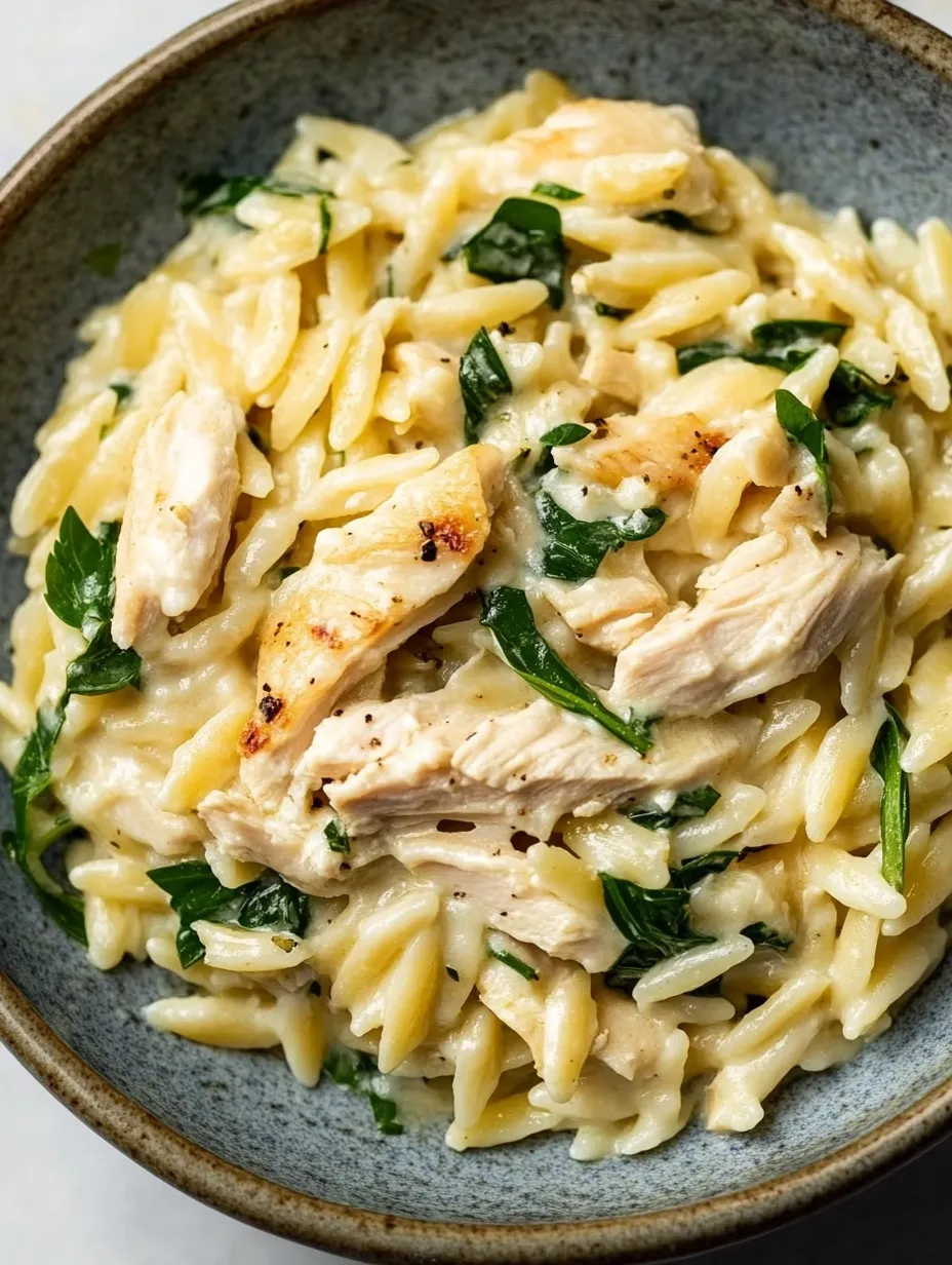 Creamy Boursin Orzo Chicken Meal